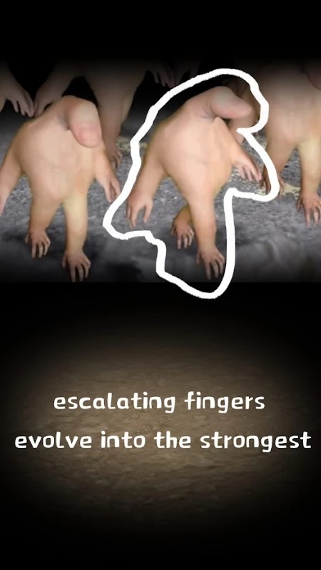 手指进化