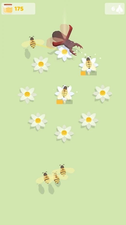 蜜蜂经理