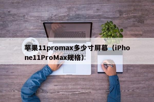 苹果11promax多少寸屏幕（iPhone11ProMax规格）